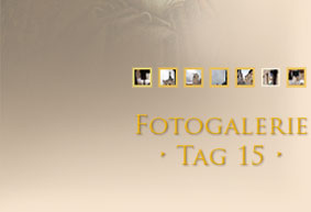Fotogalerie Tag 2