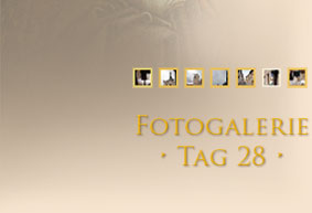 Fotogalerie Tag 2