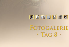 Fotogalerie Tag 2